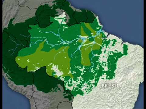 02 02 23 Deforestation Le Cas De L Amazonie Youtube