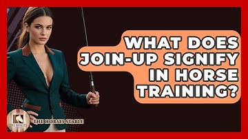What Does Join-Up Signify In Horse Training? - The Horses Stable