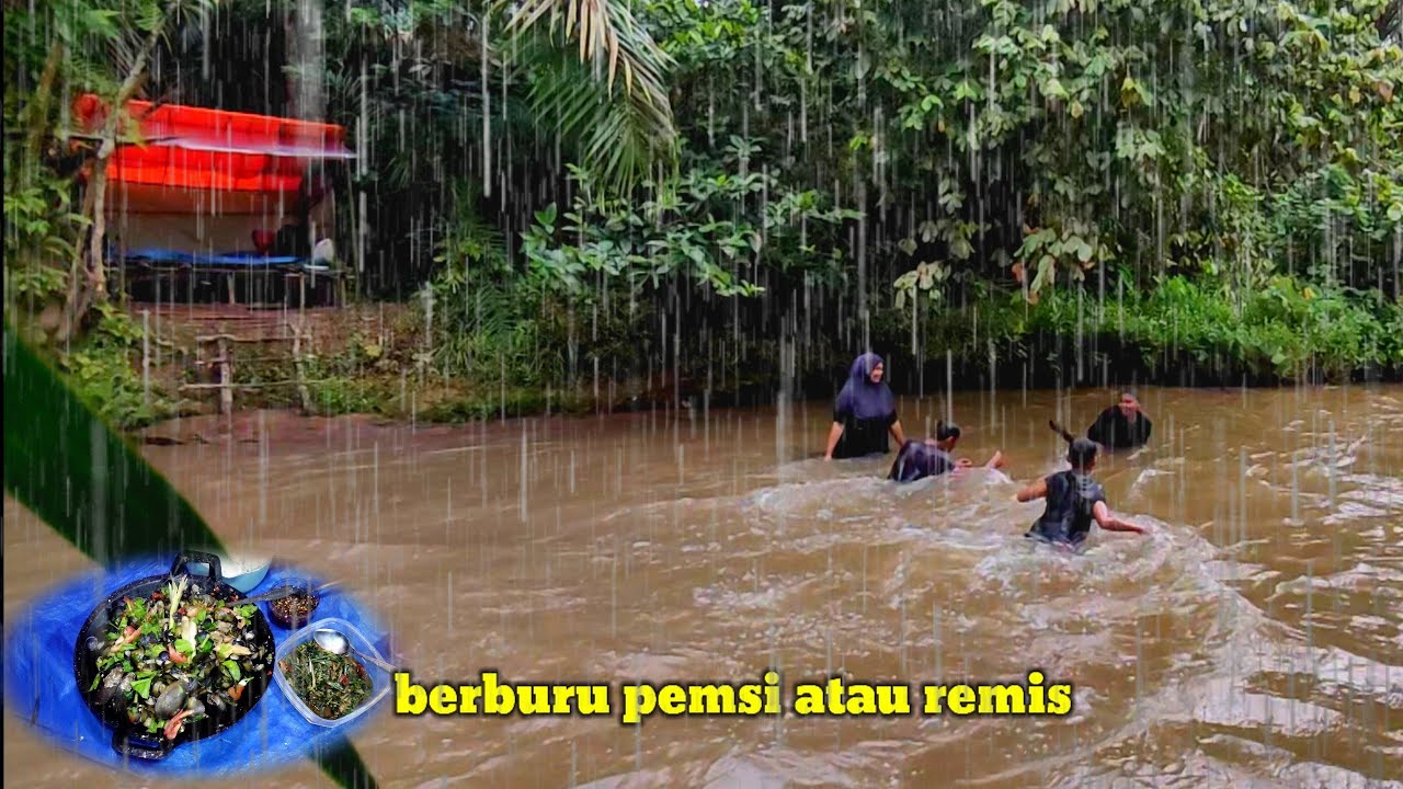 camping hujan deras bersama anak dan istri.berburu pemsi dan tanaman paku