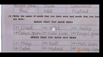 GSEB STD 5 EVS ENVIRONMENT AROUND US SEMESTER 1 WORKBOOK CH.3 DEVELOPMENTAL JOURNEY OF SEED PART ONE