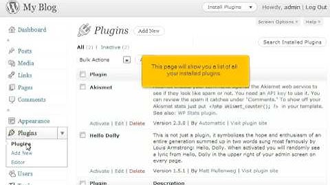 How to manage your plugins in WordPress