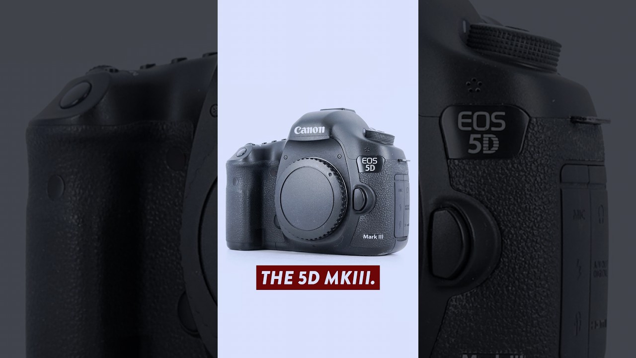 Why I Switched From Canon To Sony...