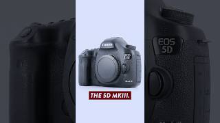 Why I Switched From Canon To Sony...