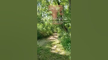 #سورة_آل_عمران #عبد_الباسط_عبد_الصمد #عبدالباسط_عبدالصمد #المصحف #قرآن #قران_كريم #quran #راحة_نفسية