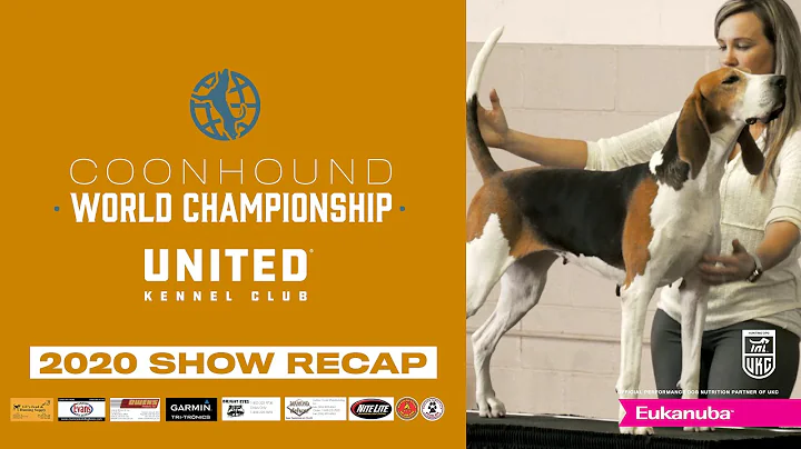 UKC Coonhound World Championship 2020- Bench Show Recap