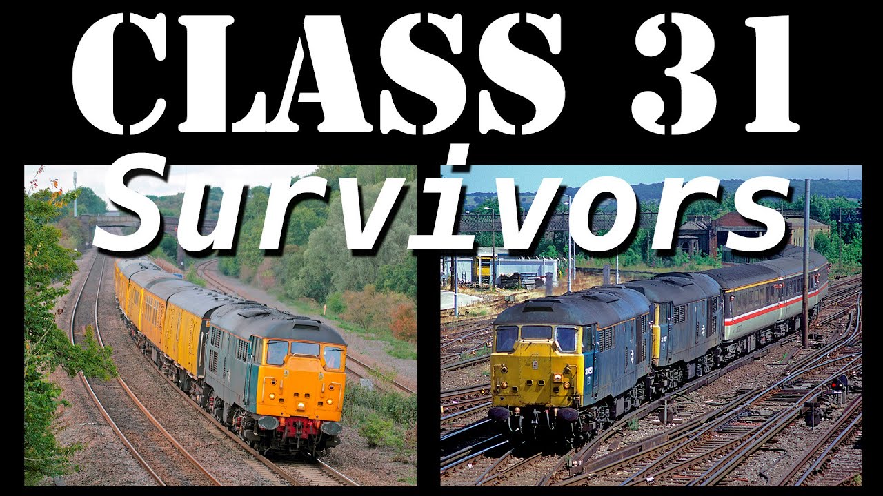 Class 31 Survivors, Mainline Finale and into Preservation