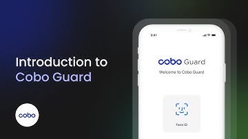 Introduction to Cobo Guard