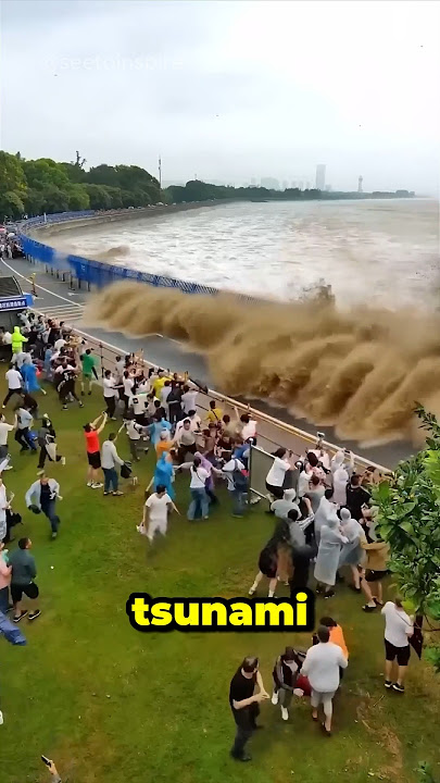 Solved #1 Way To Protect Yourself from Tsunami Wave🌊😲 #inspiringshorts #lifelesson #safetytips