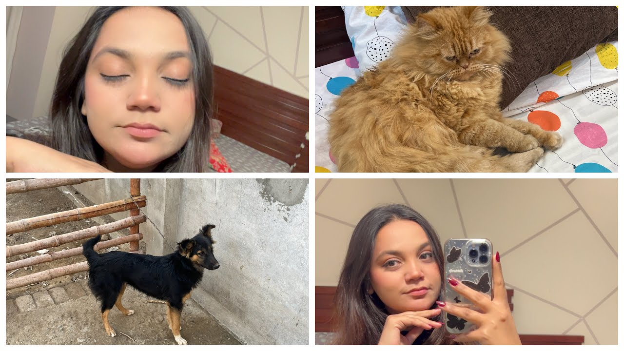 Jen na ak qabotar kaha lia😢||Dinner pa jana ka lia tyr hoi🥰🫰|| Dinner ka plan cancel 😭||HF 46