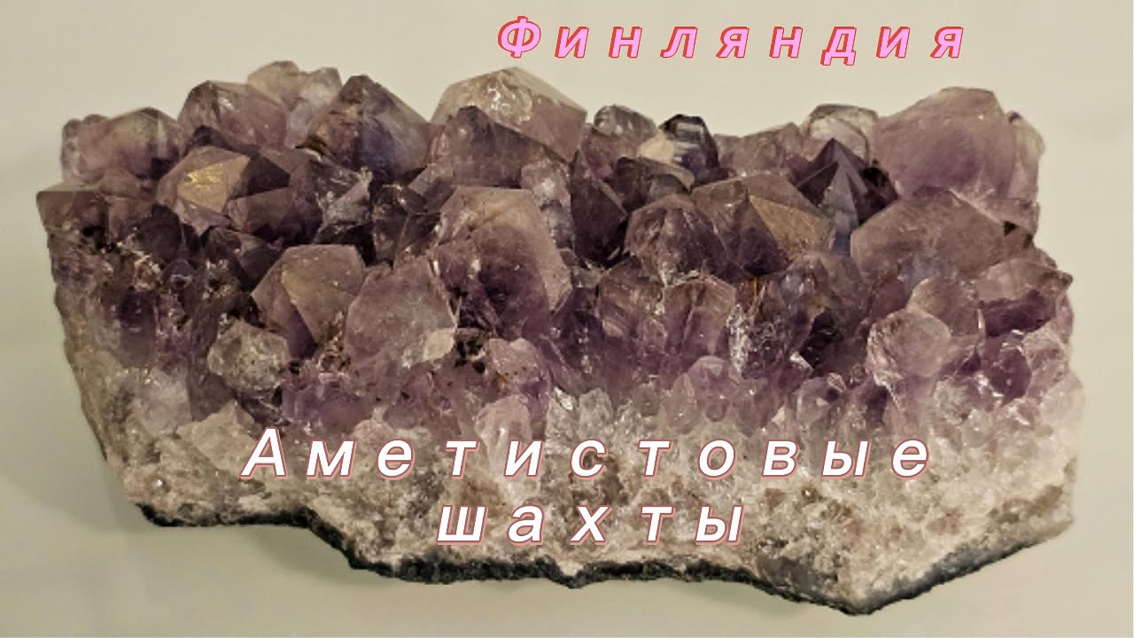 Степная пустельга: мастер охоты и элементарная элегантность