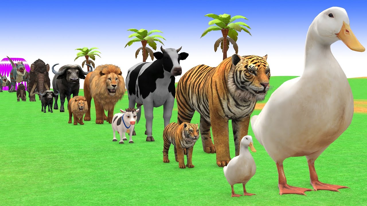 Long Slide Game with Cow Elephant Gorilla Hippopotamus Tiger 3d Animal Game Funny 3d Animals
