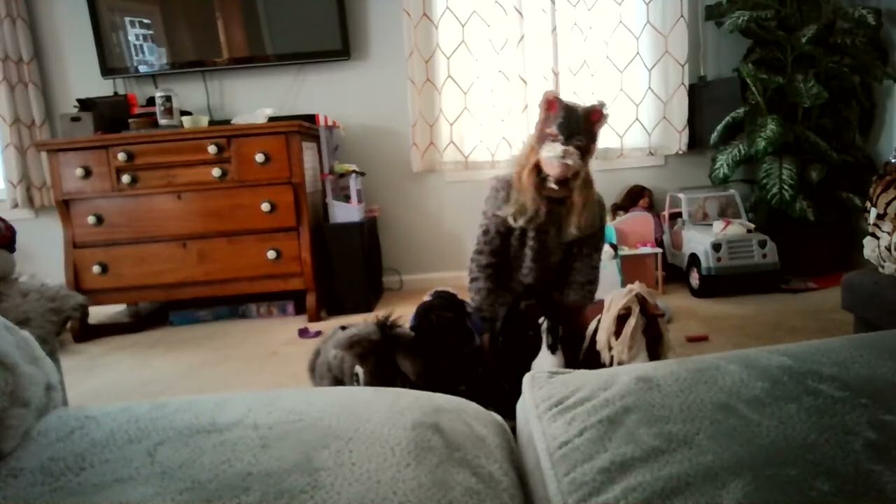 trying to jump over all my horses