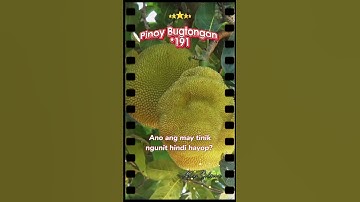 Pinoy Bugtongan *191 #shortvideo #youtubeshorts #bugtongbugtong #bugtong #bugtongchallenge #youtuber
