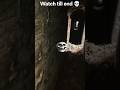 watch till end 💀 #creepy #horror #haunted