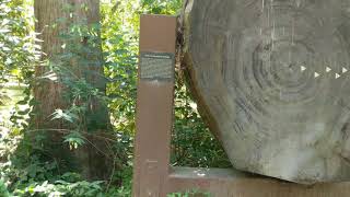 The University Arboretum - The Charles M. Goethe Arboretum