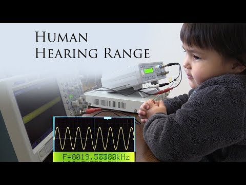 Science with Rina. Human Hearing Range
