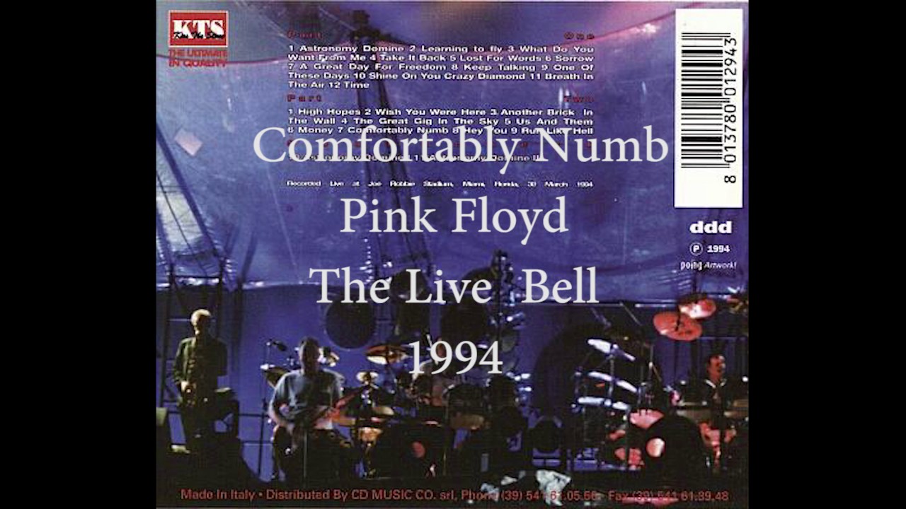 Pink Floyd Comfortably Numb The Live Bell 1994 Youtube