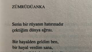 Candan İleri̇
