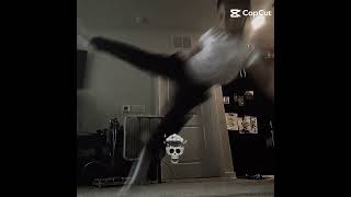 what if karate squid game is a thing