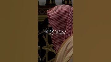 سورة فصلت بتلاوة الشيخ ناصر القطامي #قرآن_كريم #سورة_فصلت #الشيخ_ناصر_القطامي #fyp