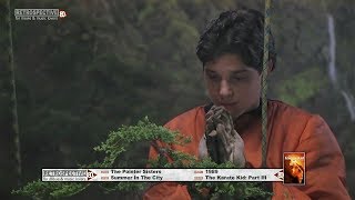 Famous The Pointer Sisters - Summer In The City (The Karate Kid Part III) (1989) Wealth