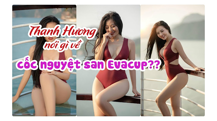 Review cốc nguyệt san eva cup năm 2024