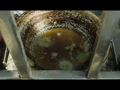 لما تروح تشتري فطار يوم الجمعة وتيجي تشتري طعمية 