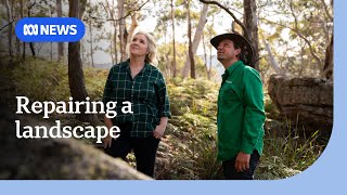 Billionaire Canva co-founder and wife focus fortune on conservation — and profit | ABC News
