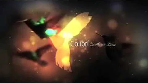 Sharon Loew Coleccin "Colibr" Sesin Fotogrfica