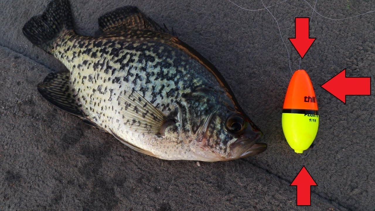 Awesome BOBBER for catching Crappie in WIND!  How to CATCH crappie with a  bobber 