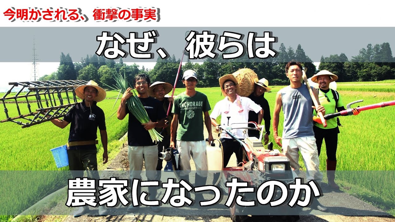 わた様　予約分　魚沼 新潟県魚沼産こしひかり 普通精米 2kg| コープこうべネット