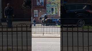 NYPD,POLICIAS-A-CABALLOS.QUEENS BOULEVARD 👮♂️🐎👮♂️🐎👍