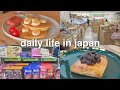Living in Japan Daily Life Vlog 🇯🇵 Grocery Shopping and Japanese 100 yen Shop ☆