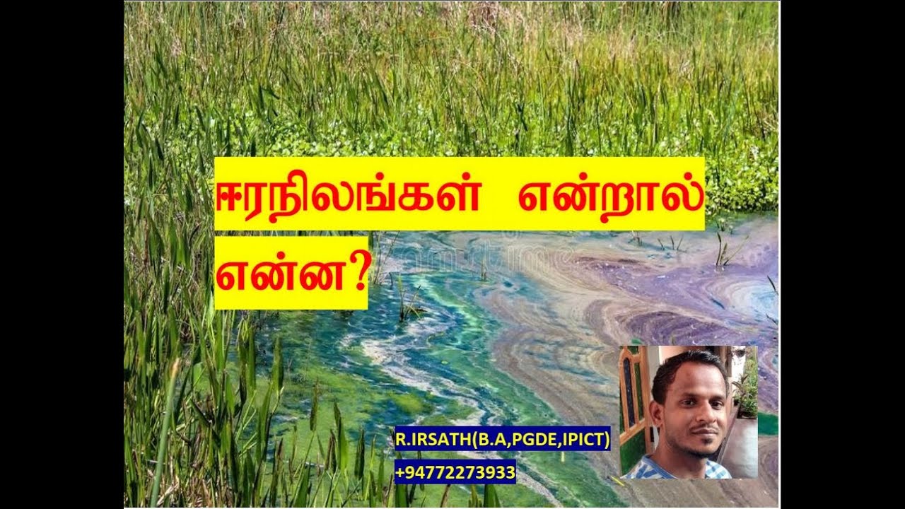 ஈரநிலங்கள் வினா விளக்கம் I இலங்கையின் ஈரநில சூழல் தொகுதி I  Wetlands I Anam elearning