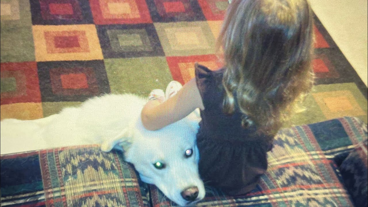 Finite mind , Finite God: why future people won’t ask if God exists by Matthew Tripp Zejda