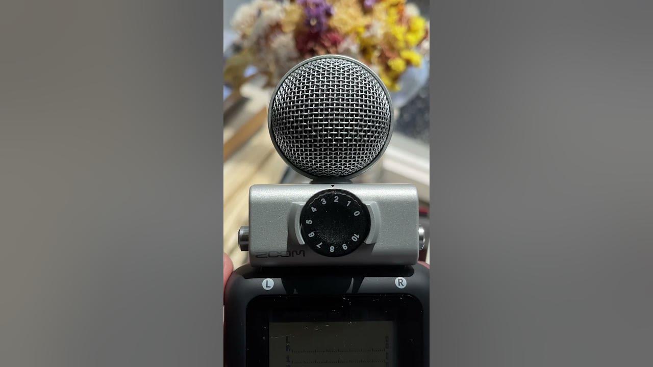 What Can You Do With The MSH6 Capsule? Zoom H5 vs H4n Pro YouTube