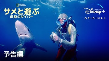 サメと遊ぶ伝説のダイバー｜予告編｜Disney  (ディズニープラス）