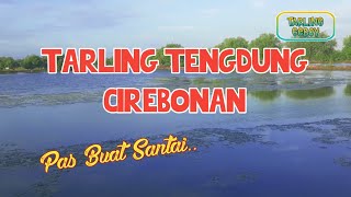 Tarling tengdung santai//pesisir balongan cituis