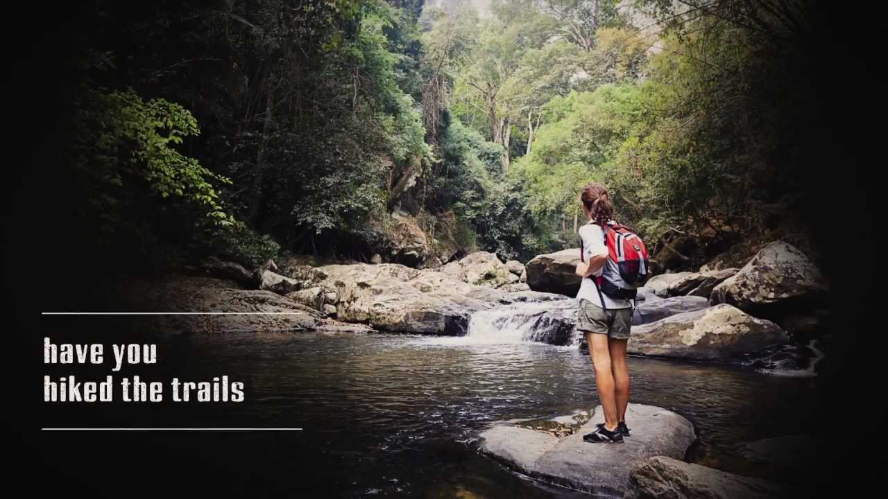 New Forever Wild Website Video Tutorial