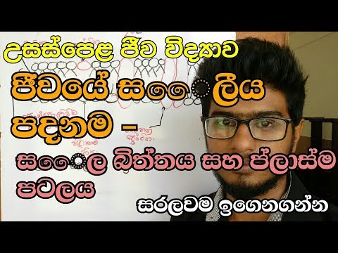 සෛල බිත්තිය / Cellular base of life 2