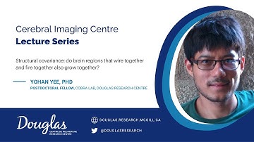 Structural covariance: do brain regions that wire together and fire together also grow together?