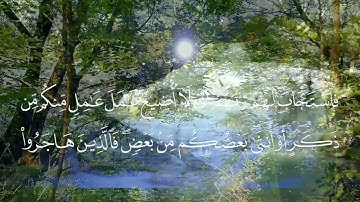 تلاوة خاشعة ( كل نفس ذائقة الموت ) بصوت الشيخ أ.د. سعود الشريم