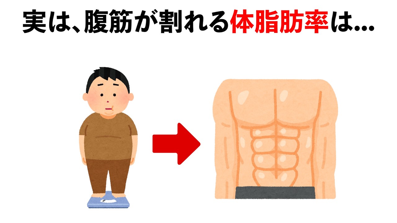 【聞き流し】誰かに話したくなる筋トレの雑学　#トリビア#豆知識#筋トレ