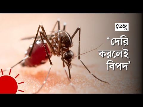 জ্বর হলেই করাতে হবে ডেঙ্গু পরীক্ষা | Dengue Fever
