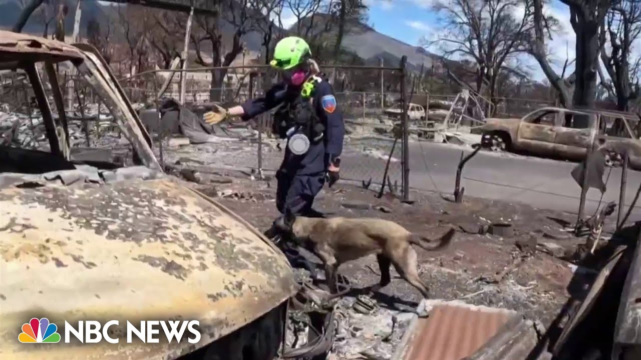 Hawaii governor vows to rebuild after devastating wildfires