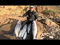 الجزء 1 أكبر حصيلة من سمك الدرعي وماهي أحسن قصبة لصيد الدرعي بتقنية السبينينغ Daiwa Vs Shimano 