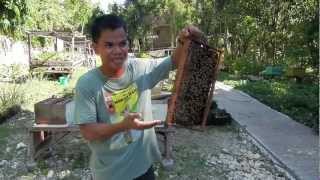 Bohol Bee Farm - Panglao Island Tour - WOW Philippines Travel Agency