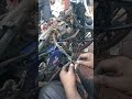 May 9, 2026 Shubham Bangalore Auto garage. workshop...... Avenger bike sorting wiring repairing