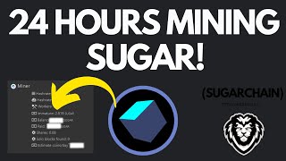 24 Hours Mining SUGAR Results WAS IT AS PROFITABLE AS MINERSTAT CALCULATOR SAID