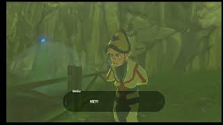 The quest to find Impa (Breath of the wild part 4)